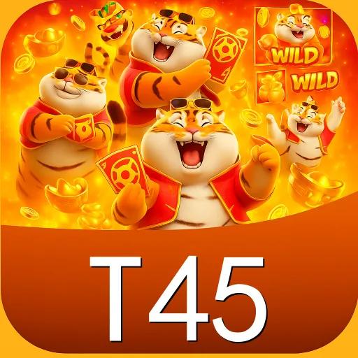 t45aa.com favicon